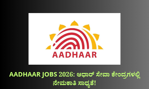 Aadhaar Operator working at enrollment center